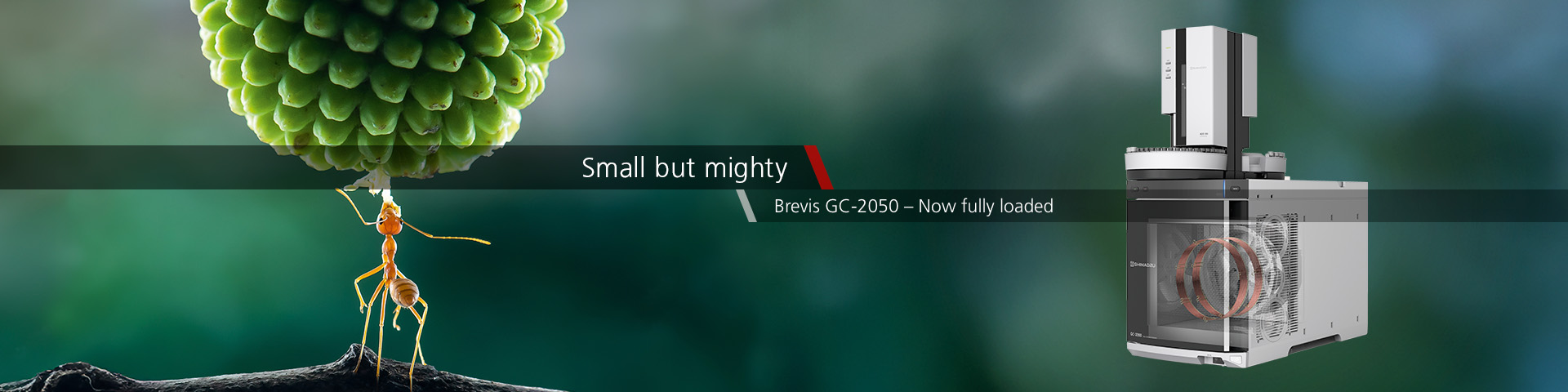 GC 2050 
