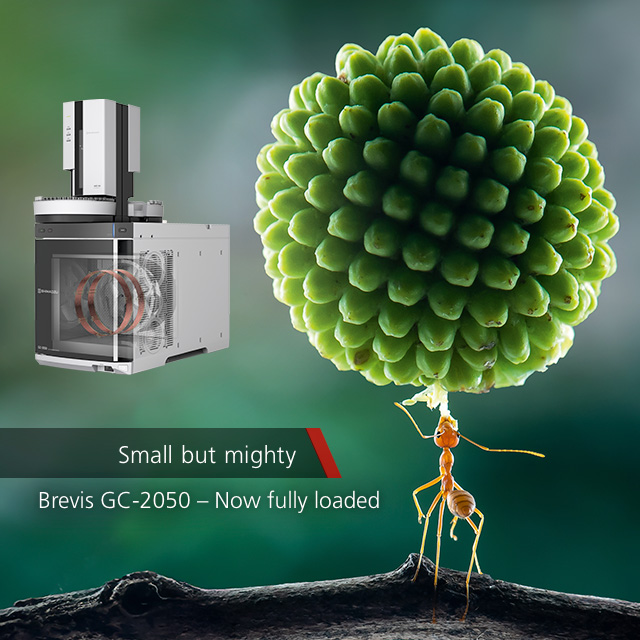 GC 2050