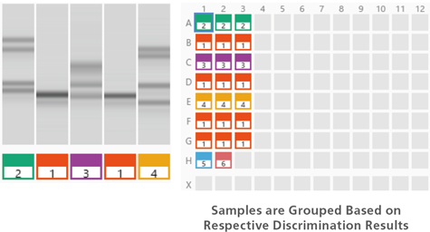 multiNA II MCE-301 Shimadzu