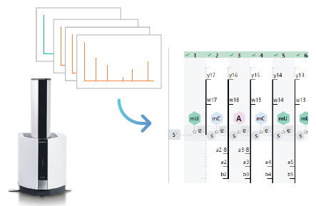 Efficient Analysis of MALDI Spectra
