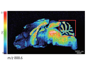 Imaging with High Reproducibility