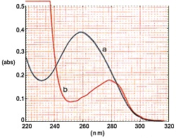 Spectra of Herring Spermatozoa (a) and Bovine Serum-Albumin (b)
